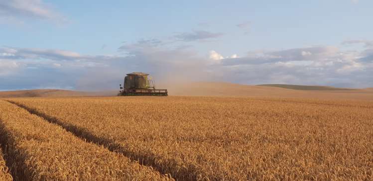 49 Robinson Road Pleasant Point_0