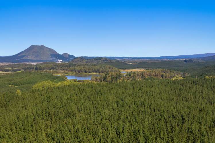 2805 State Highway 30 Rotoma_1