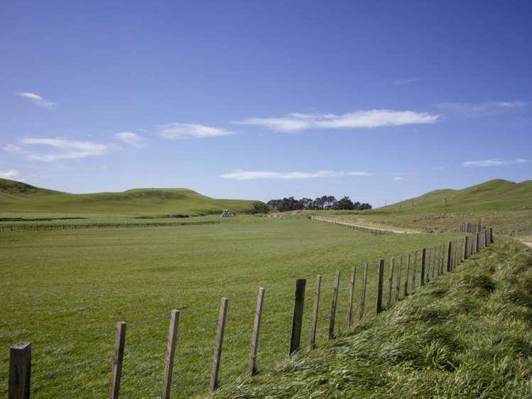 1530 Waihi Valley Road Pongaroa_5