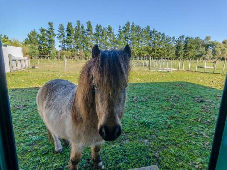 399a Norfolk Road Carterton_8