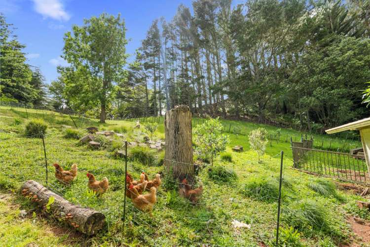 82 Kara Road Maungatapere_13