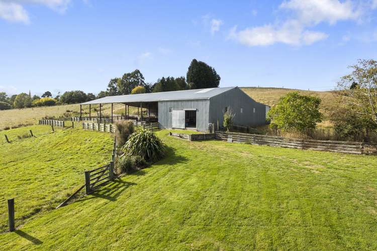 83 Waitahuna Cemetery Road Waitahuna_15