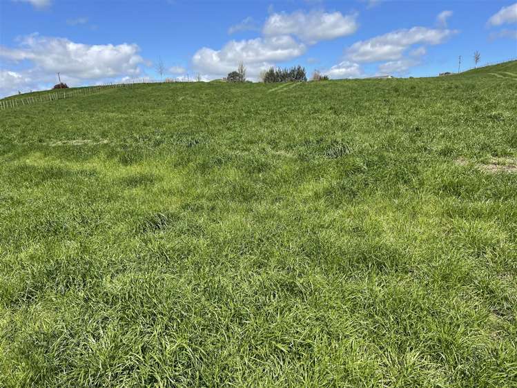 788 Troopers Road Te Kuiti_16