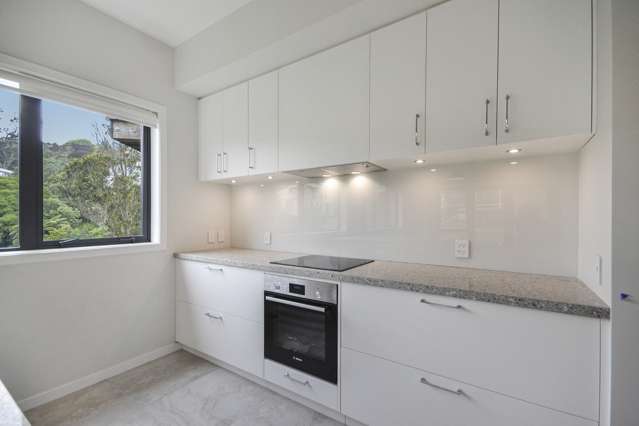 12 Jacobsen Lane Ngaio_2