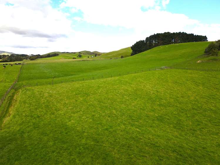 672 Weber Road Dannevirke_19