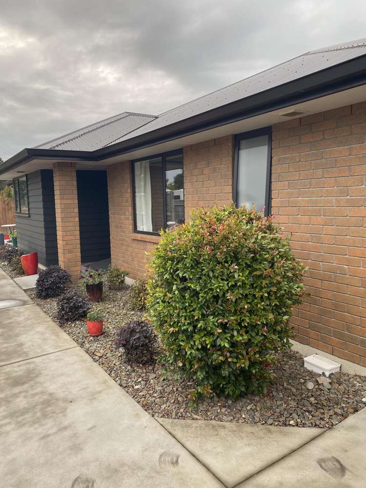 1/294 Ohaupo Road Te Awamutu_1