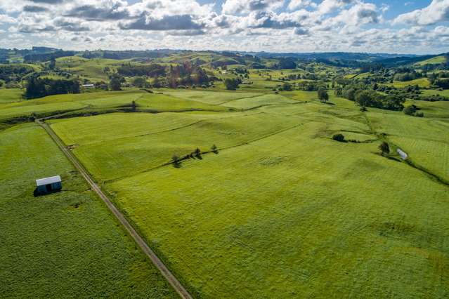 73ha Grazing / Dairy Support Farm at the Foot of the Hunua Ranges