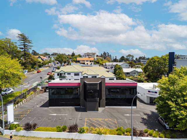 85 Tristram Street Hamilton Central_1