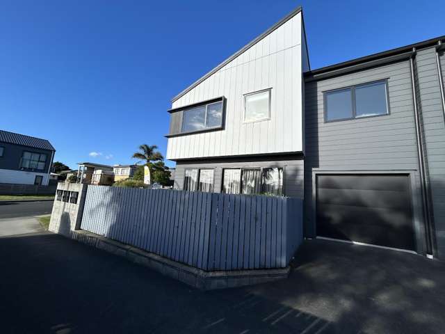 3A Ayr Road Pakuranga_1