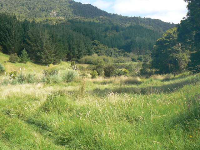 2011 Planted Forestry Block