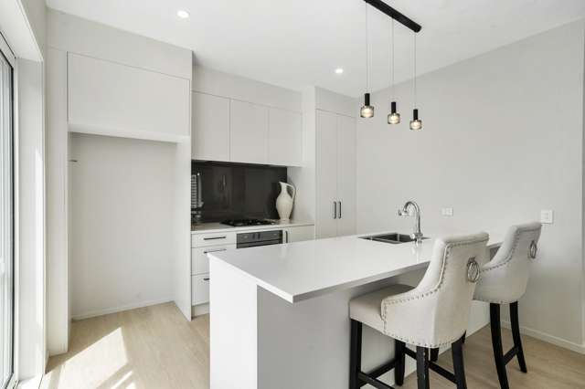 22A Norrie Avenue Mount Albert_1