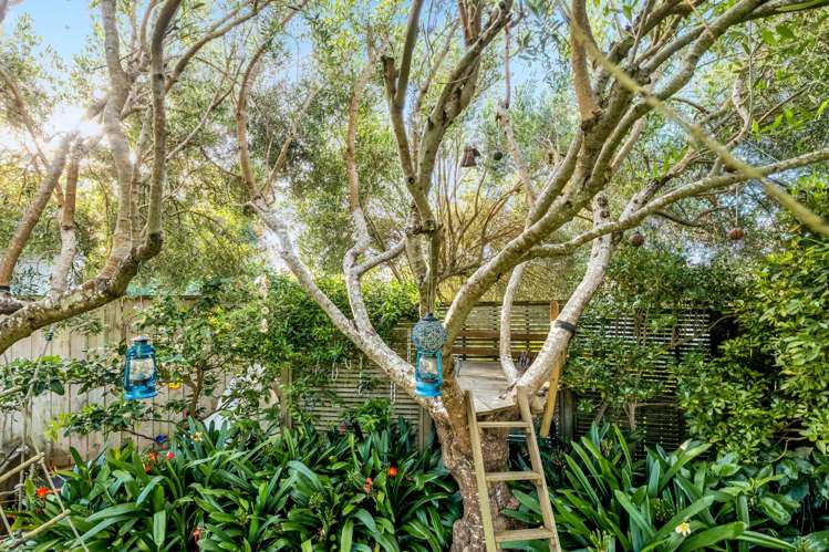 53 Oliver Road Eastern Beach_33