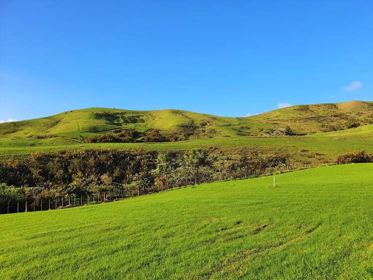 45 Opononi Heights Drive Opononi_14