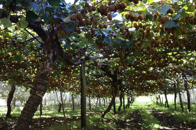 2130 State Highway 2 Aongatete_3