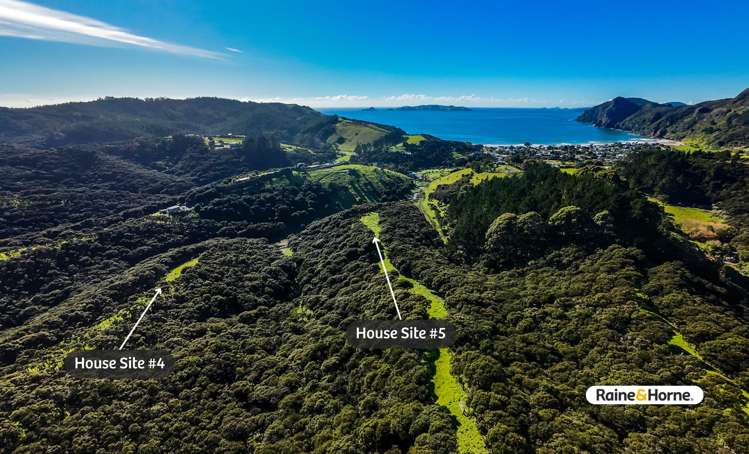 1032 Taupo Bay Road_2