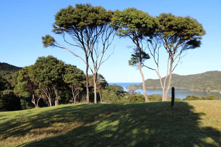 6 Harpoon Hill Great Barrier Island (Aotea Island)_18