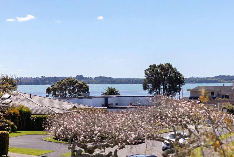 151 Manuwai Drive Matua_30