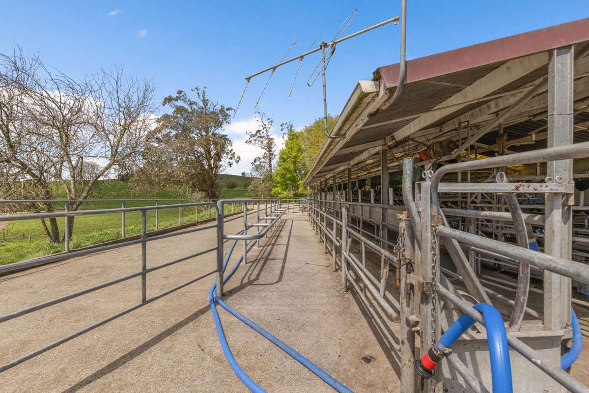 58 Nicholson Road_1