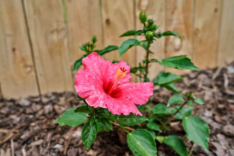 46 Shoemaker Road Waipu_28