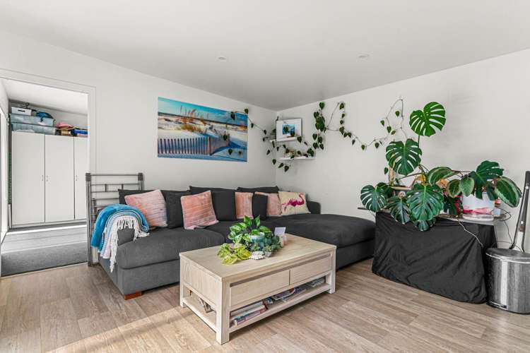 229 One Tree Point Road One Tree Point_6