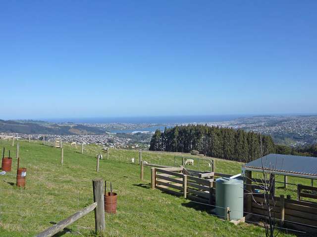 58 Cowan Road Pine Hill_4