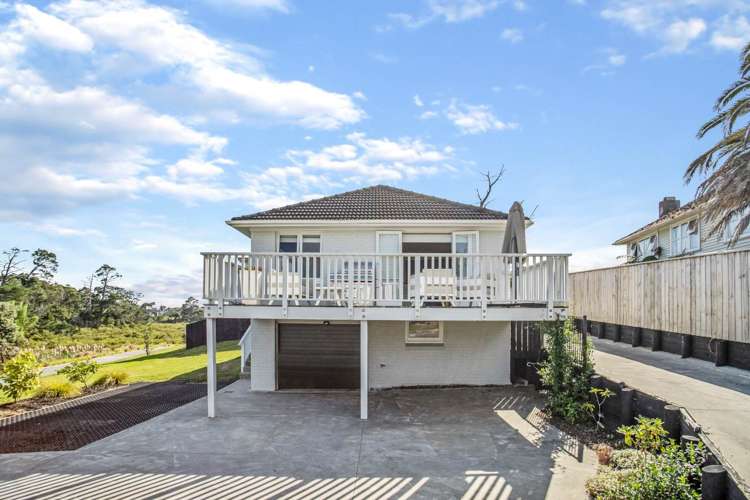 61 Holly Street Avondale_17