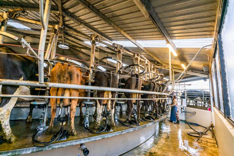 313 Te Wera Road Matawai_9