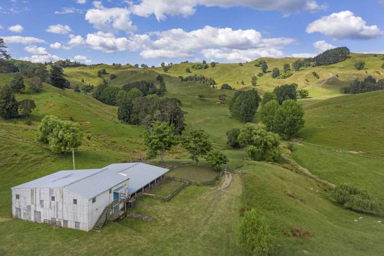 510 Barclay Road Aria_25