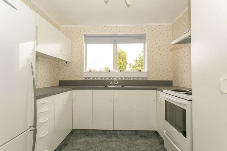 175 Grove Street Tinwald_1