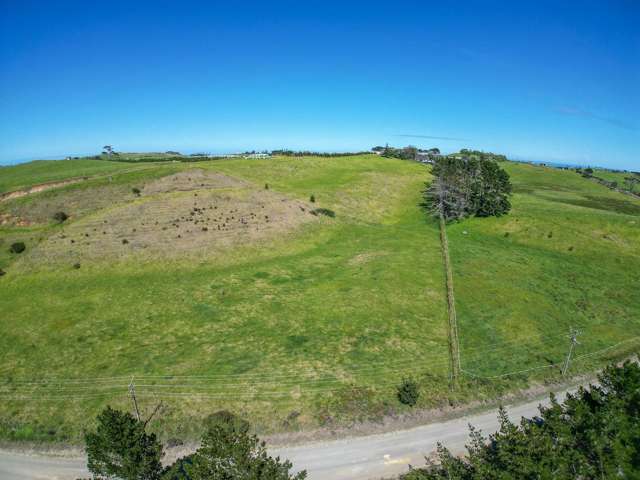 42 Redhill Cemetery Road Te Kopuru_2