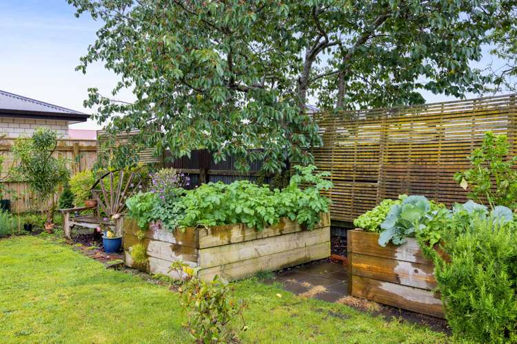 10 Morrissey Street Hawera_20