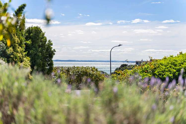 15 Edmund Street Saint Heliers_20