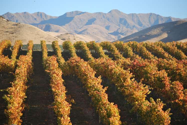 220 Ballochdale Road Awatere Valley_15