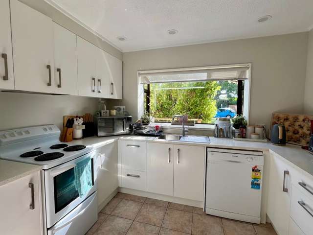 19 Green Lane Pukekohe_1