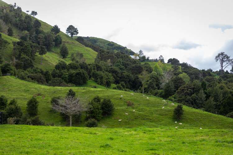 71 Mangotahi Road Thames_24