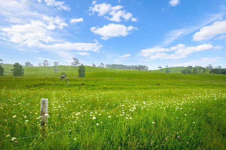 515 Kahikatea Flat Road Waitoki_12