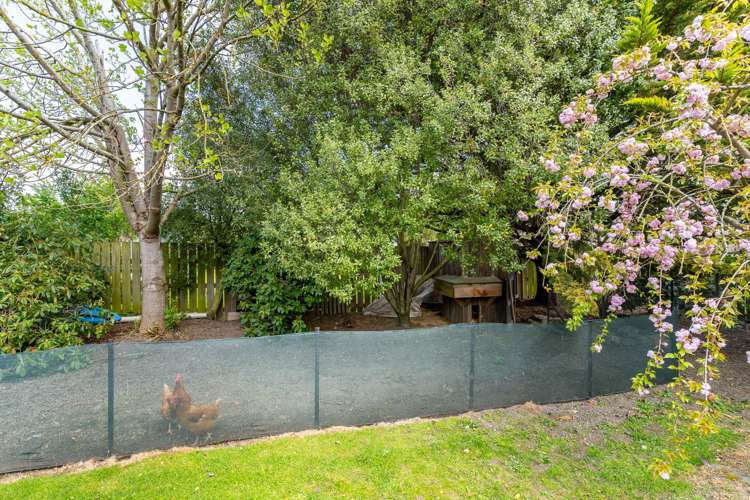 26 Johnson Street Milton_19