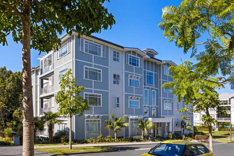 60 Eaves Bush Parade Orewa_22