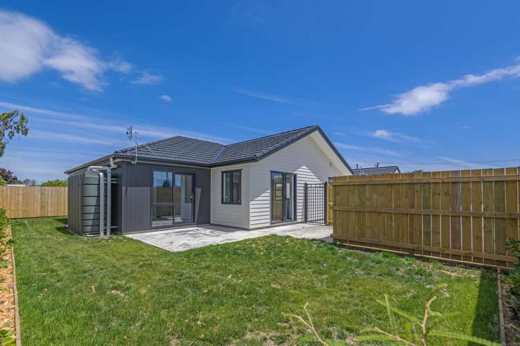 38 Hammond Street Bulls_5