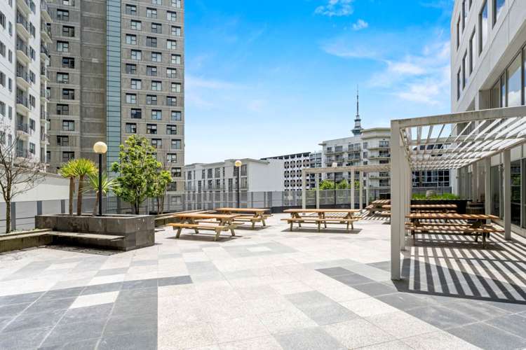 67 Symonds Street City Centre_5