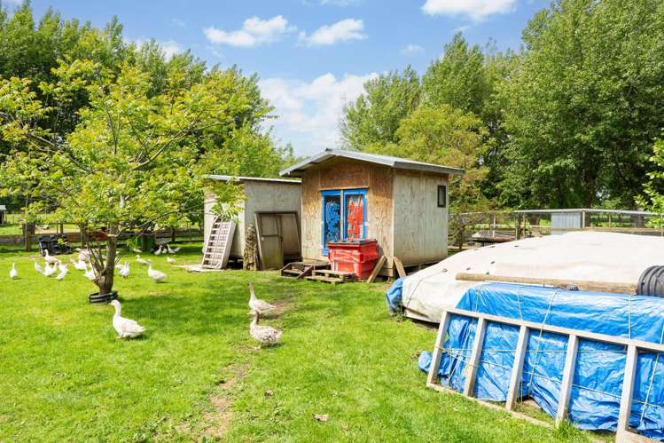 456 Kaikokopu Road Brunswick_16