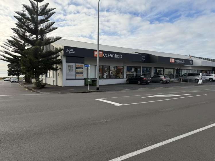 65 Molesworth Street New Plymouth_9