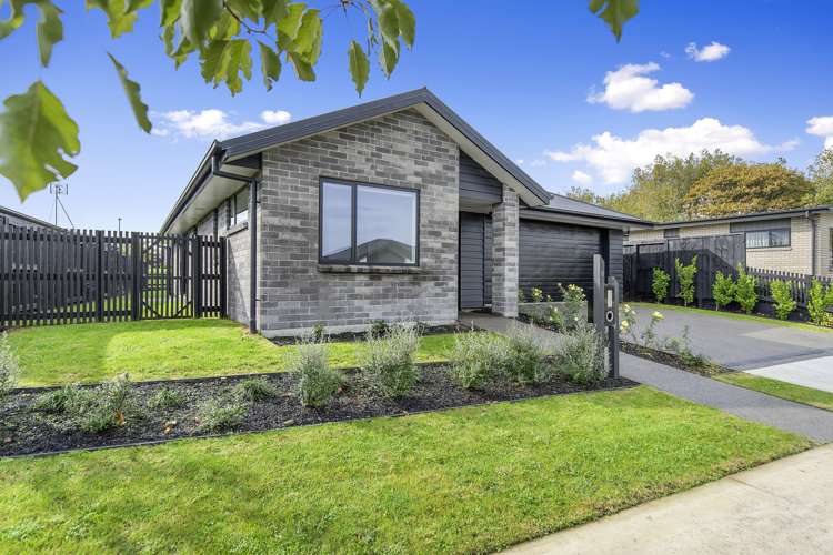 6 Morrin Street Morrinsville_13