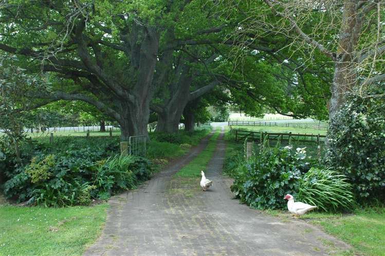 374 Kuranui Road Morrinsville_14