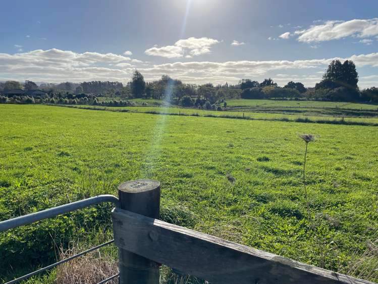 63 Perkins Road Whatawhata_2