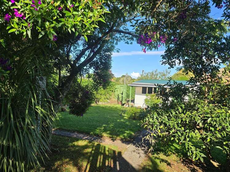 650 Sandringham Road Sandringham_7