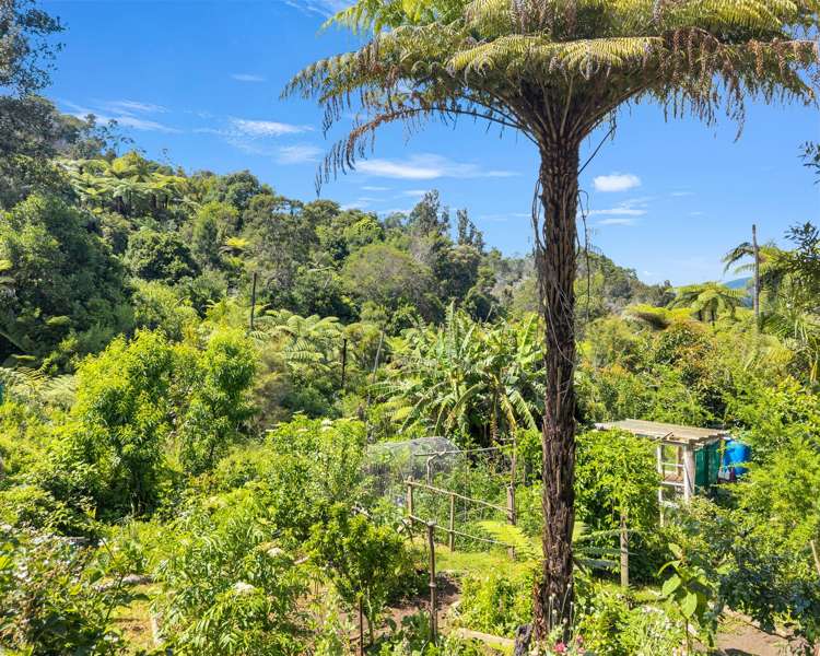 Ohiwa Loop Road Waiotahi_22