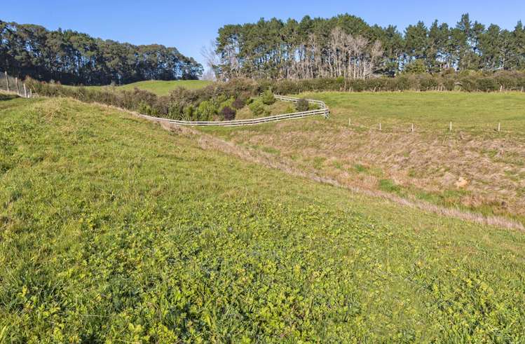 1338 Highway 22 Pukekawa_4