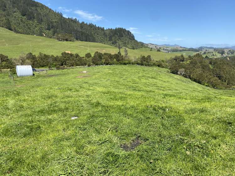 57 Hall Road Hikuai ThamesCoromandel Rural Property For Sale