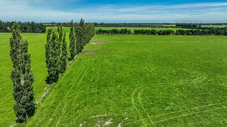 300 Courtenay Road Charing Cross_5